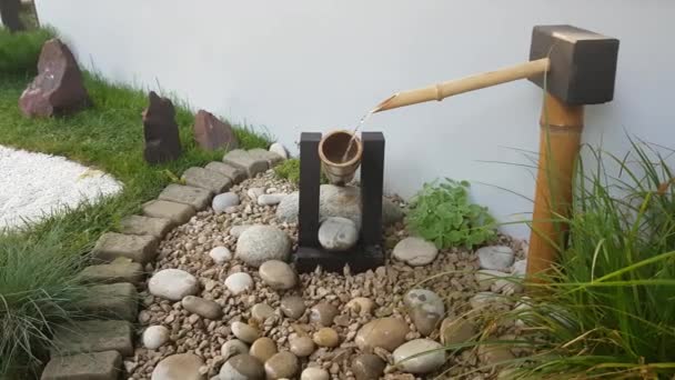 Wasser tropft in japanischen Garten — Stockvideo