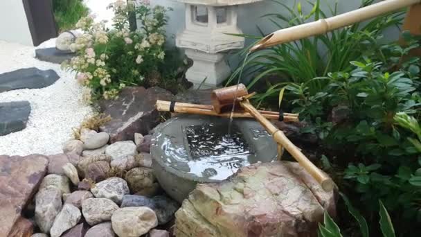 Wasser tropft in japanischen Garten — Stockvideo