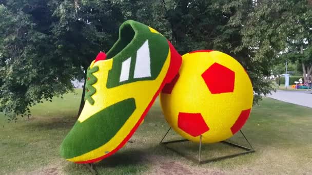 Bottes à base de plantes et ballon de football — Video