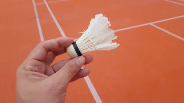 Badmintonista trzyma wolant gotowi służyć — Wideo stockowe