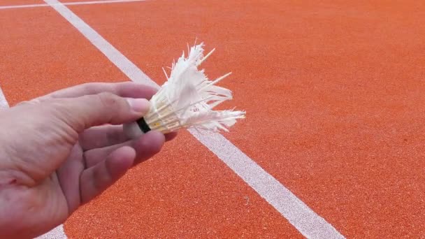 Badmintonspelare håller en badmintonbollen redo att servera — Stockvideo