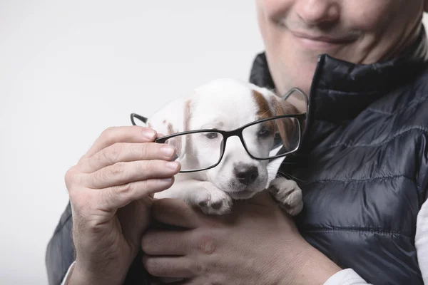 Homem segura um cachorro em suas mãos — Fotografia de Stock