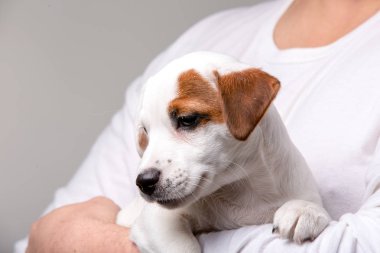 Adam elinde bir köpek yavrusu tutuyor.