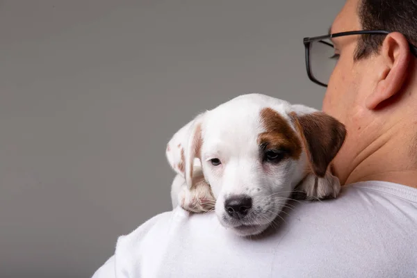 Homem segura um filhote de cachorro no ombro — Fotografia de Stock