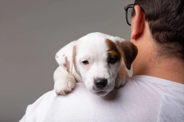 Homem segura um filhote de cachorro no ombro — Fotografia de Stock