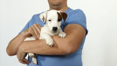 Mavi tişörtlü bir adam kucağında bir köpek yavrusu tutuyor..