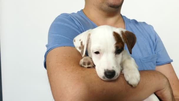 Man dalam biru t-shirt memegang anak anjing dalam pelukannya. — Stok Video