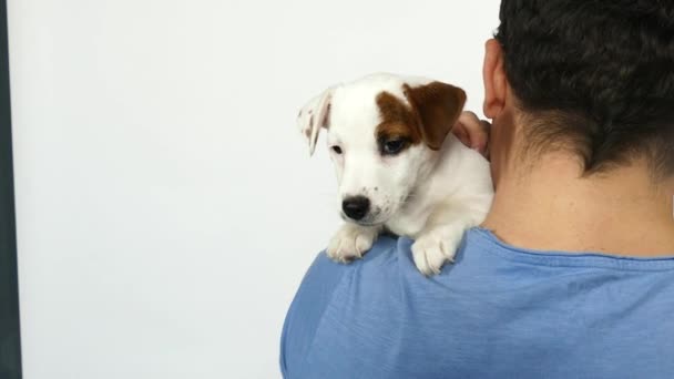 Hombre con una camiseta azul sostiene a un cachorro en sus brazos. — Vídeo de stock