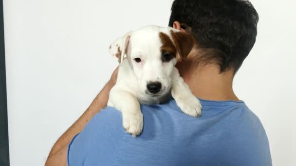 身穿蓝色T恤的男人抱着一只小狗. — 图库视频影像