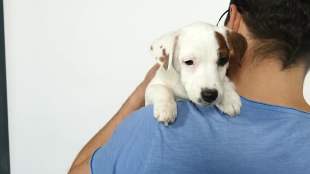 Homem de t-shirt azul segura um cachorro em seus braços. — Vídeo de Stock