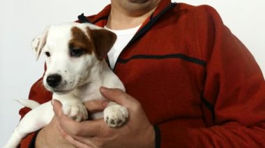 Turuncu kazaklı bir adam kucağında bir köpek yavrusu tutuyor..