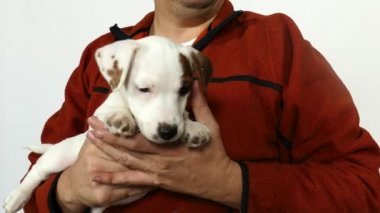 Turuncu kazaklı bir adam kucağında bir köpek yavrusu tutuyor..