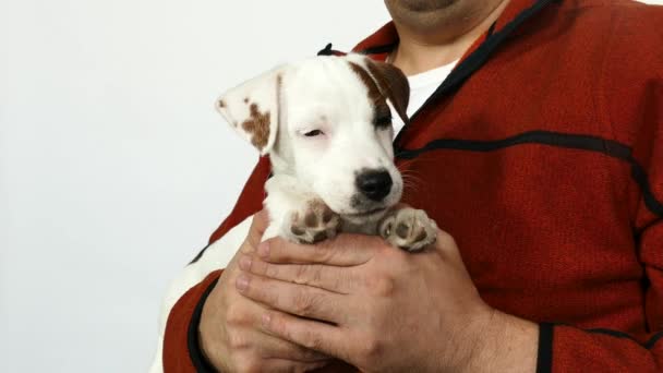 Man in een oranje trui houdt een puppy in zijn armen. — Stockvideo