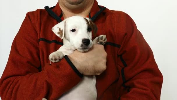 L'uomo in un maglione arancione tiene un cucciolo tra le braccia. — Video Stock