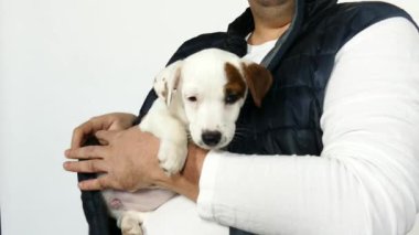 Mavi yelekli bir adam kucağında bir köpek yavrusu tutuyor..