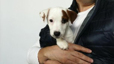 Mavi yelekli bir adam kucağında bir köpek yavrusu tutuyor..