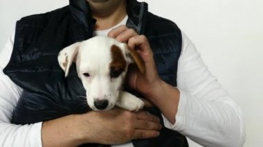 Mavi yelekli bir adam kucağında bir köpek yavrusu tutuyor..