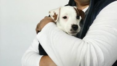 Mavi yelekli bir adam kucağında bir köpek yavrusu tutuyor..