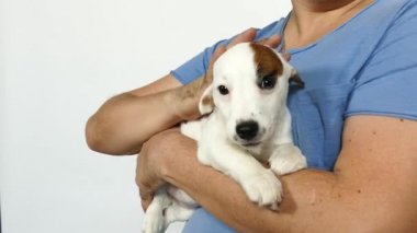 Mavi tişörtlü bir adam kucağında bir köpek yavrusu tutuyor..