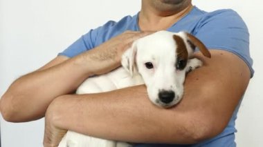 Mavi tişörtlü bir adam kucağında bir köpek yavrusu tutuyor..