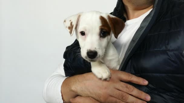 Hombre en un chaleco azul sostiene a un cachorro en sus brazos. — Vídeo de stock