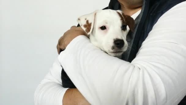 Muž v modré vestě drží v náručí štěně. — Stock video