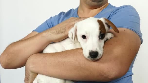 Mavi tişörtlü bir adam kucağında bir köpek yavrusu tutuyor.. — Stok video