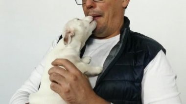Silah beyaz köpek mans.