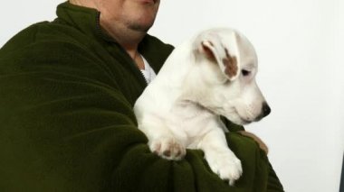 Bir yeşil kazaklı adam bir köpek yavrusu kollarında tutar..