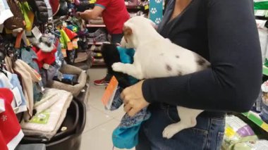 Bir köpek içinde belgili tanımlık stok giyen kadın