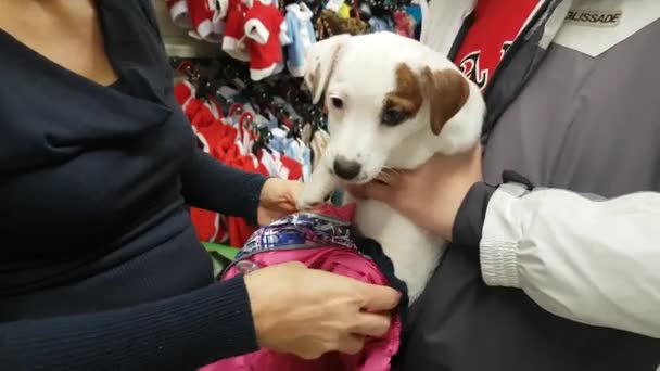 Mãe e filho usam um cachorro na loja — Vídeo de Stock