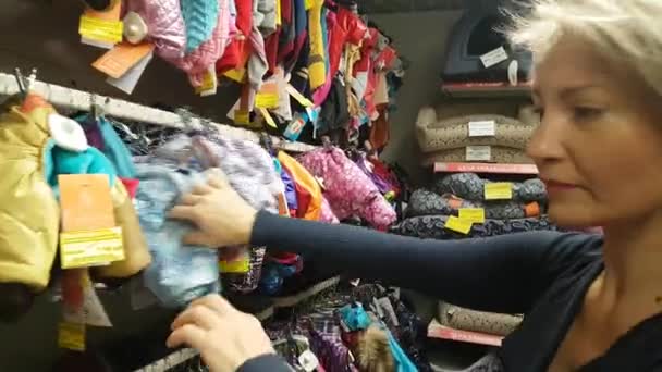 Das Mädchen wählt Kleidung für einen Hund — Stockvideo