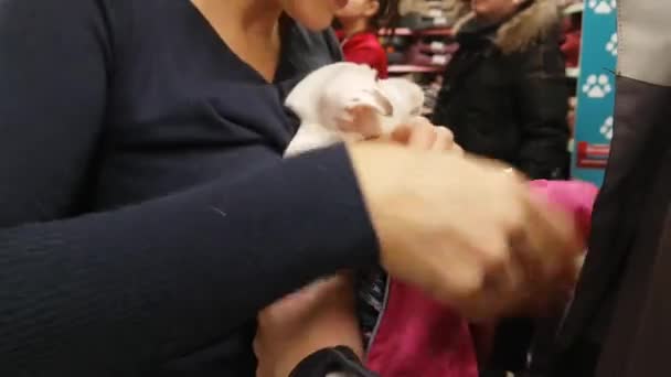 Woman wearing a puppy in the store — Stock Video