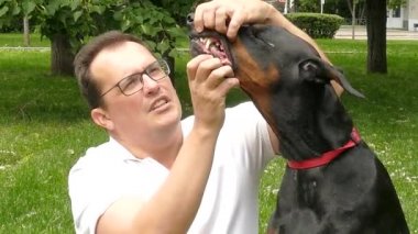 Adam ile doberman köpek