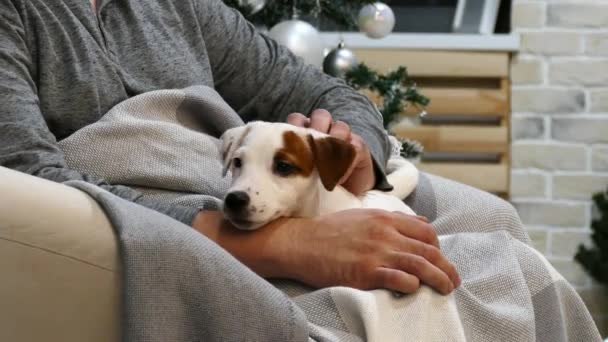 Pequeno cachorro terrier no colo do homem — Vídeo de Stock