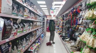 Evde beslenen hayvan stok içinde beyaz köpek yavrusu