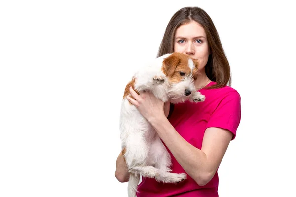 Terrier köpek yavrusu ile güzel kız — Stok fotoğraf