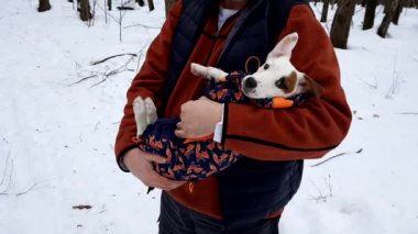 Yetişkin adam açık havada köpek tutun