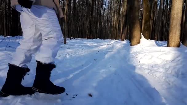 Pequeño dag corriendo rápido en la nieve — Vídeo de stock