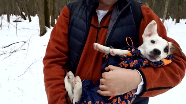 Erwachsener Mann hält seinen Welpen im Freien — Stockvideo