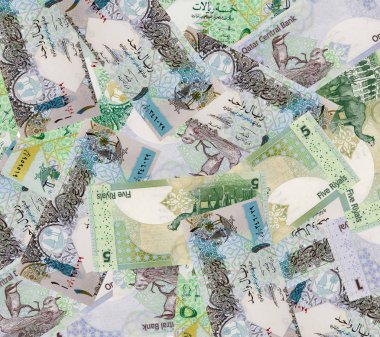Katar Arabistan Riyali banknot kümesi.