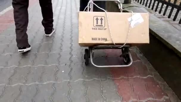 Frau trägt Kiste auf Handwagen — Stockvideo