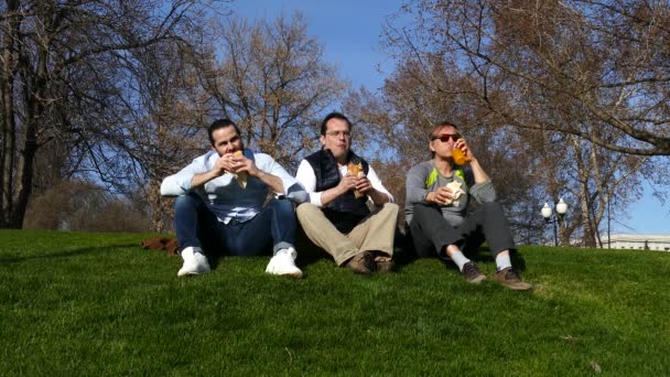 Трое мужчин обедают, сидя на траве в парке — стоковое видео