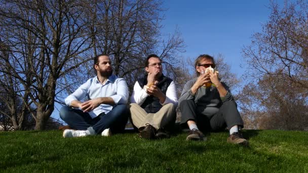 Compañía de tres hombres cenan mientras están sentados en la hierba en el parque — Vídeos de Stock