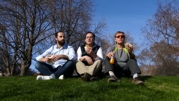 На траве в парке трое мужчин с аппетитом едят сэндвичи — стоковое видео