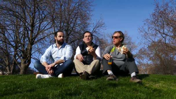 Позитивная компания ест свежие бутерброды, сидя на траве на фоне голубого неба — стоковое видео