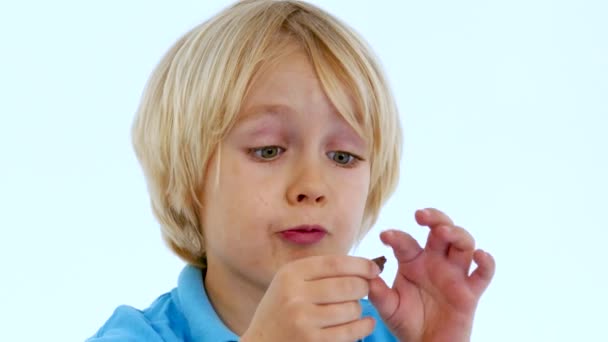 Niño comiendo chocolate — Vídeos de Stock