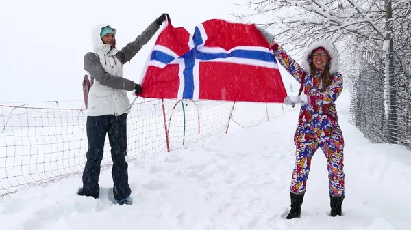 Norveç rüzgarda sallayarak bayrak. — Stok fotoğraf