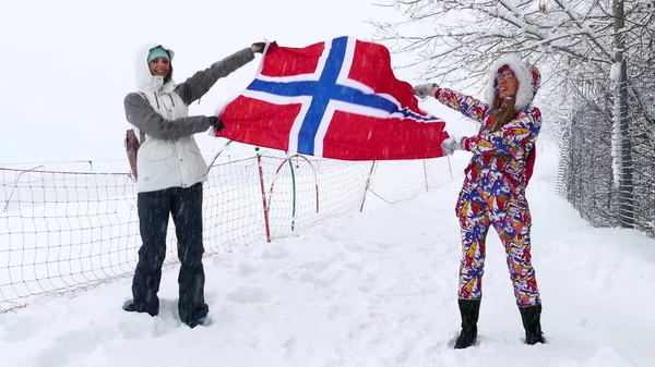 Norveç rüzgarda sallayarak bayrak. — Stok fotoğraf