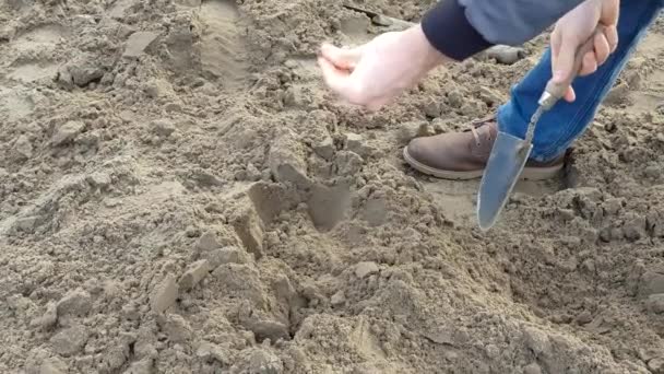 Homem Escavar Areia — Vídeo de Stock